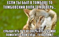 если ты был в томбове то томбовский волк те не зверь... слыша ять я те не зверь а ты тут мне помогите свои суёш... го выпим?