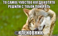 то самое чувство когда котята решили с тобой поиграть ©кленовник.