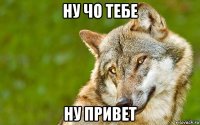 ну чо тебе ну привет