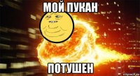 мой пукан потушен