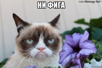 ни фига 