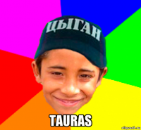  tauras