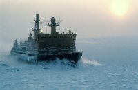 Создать мем 839