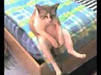 Создать мем Думу думаю