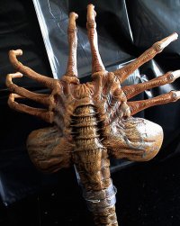 Создать мем Facehugger