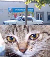 Создать мем Хз