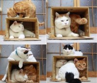 Создать мем Ранок
