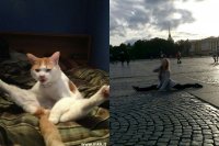 Создать мем Шпагат
