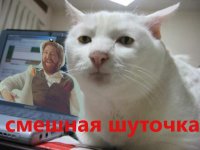 Создать мем Смешная шуточка