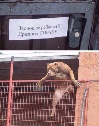 Создать мем Звонок
