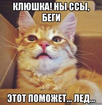 клюшка! ны ссы, беги этот поможет... лед...