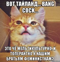 вот тайланд... bang cock... это чё мельтикультурно, и толерантно к нашим братьям феминисткам?