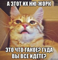 а этот их ню-жорк это что такое? гуда вы все идёте?