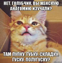 нет, голубчик, вы женскую анатомию изучали? там пупку, губку, складку, гуску, полугуску?