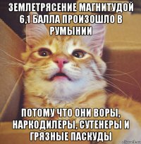 землетрясение магнитудой 6,1 балла произошло в румынии потому что они воры, наркодилеры, сутенеры и грязные паскуды
