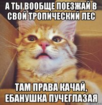 а ты вообще поезжай в свой тропический лес там права качай, ебанушка пучеглазая