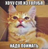 хочу суп из голубя надо поймать