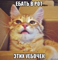 ебать в рот этих уебочек
