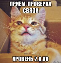 приём. проверка связи уровень 2.0.vo