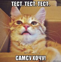 тест. тест. тест. самсу хочу!