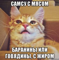 самсу с мясом баранины или говядины, с жиром