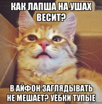 как лапша на ушах весит? в айфон заглядывать не мешает? уёбки тупые