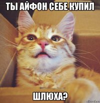 ты айфон себе купил шлюха?