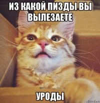 из какой пизды вы вылезаете уроды