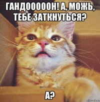 гандооооон! а, можь, тебе заткнуться? а?