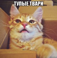 тупые твари 