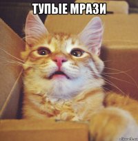 тупые мрази 