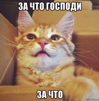 за что господи за что