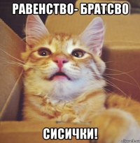 равенство- братсво сисички!