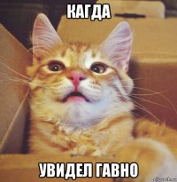 кагда увидел гавно