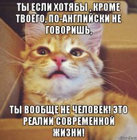 ты если хотябы , кроме твоего, по-английски не говоришь, ты вообще не человек! это реалии современной жизни!