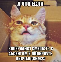 а что если валерианку смешать с абсентом и полирнуть пивчанским??