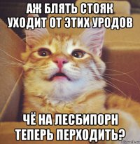 аж блять стояк уходит от этих уродов чё на лесбипорн теперь перходить?