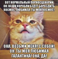 вот нормальный порносценарий он: наши корабли будут бороздить космос. любимая, ты мой космос! она: возьми меня! с собой! он: ты моя любимая галактика! она: да!