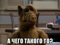  а чего такого то?