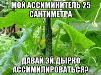 мой ассиминитель 25 сантиметра давай эй дырко ассимилироваться?