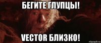 бегите глупцы! vector близко!