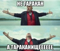 не таракан а тараканищееееее