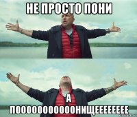 не просто пони а пооооооооооонищееееееее