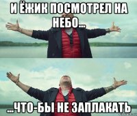 и ёжик посмотрел на небо... ...что-бы не заплакать