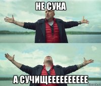 не сука а сучищееееееееее