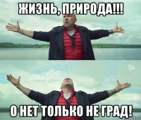 жизнь, природа!!! о нет только не град!