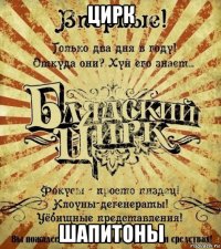цирк шапитоны