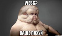 wesg? ваще похуй