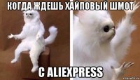 когда ждешь хайповый шмот с aliexpress