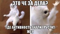 это че за дела? где активность?кали грустит же:(